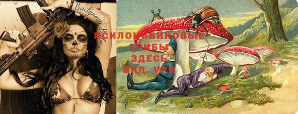 герыч Майский